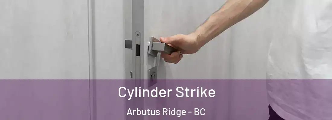 Cylinder Strike Arbutus Ridge - BC