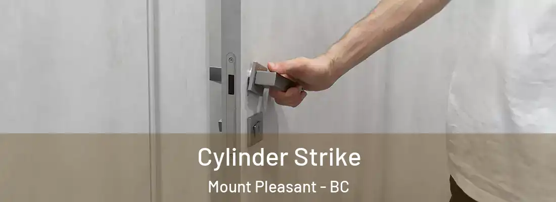  Cylinder Strike Mount Pleasant - BC
