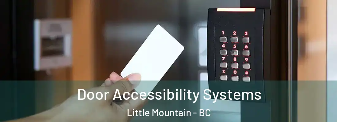  Door Accessibility Systems Little Mountain - BC
