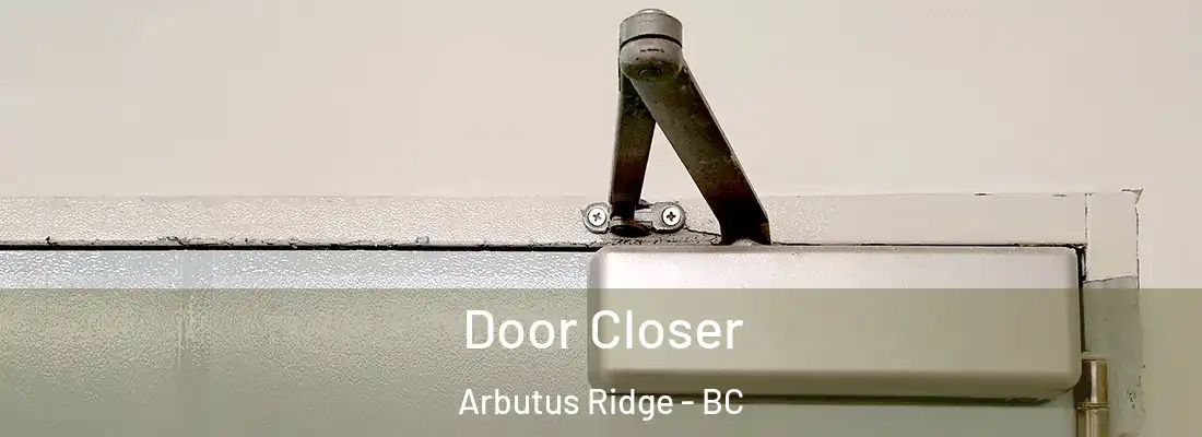  Door Closer Arbutus Ridge - BC