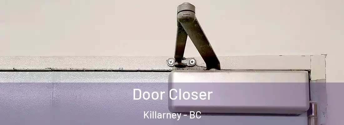 Door Closer Killarney - BC