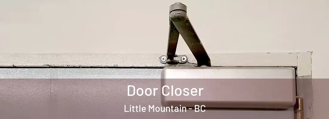  Door Closer Little Mountain - BC