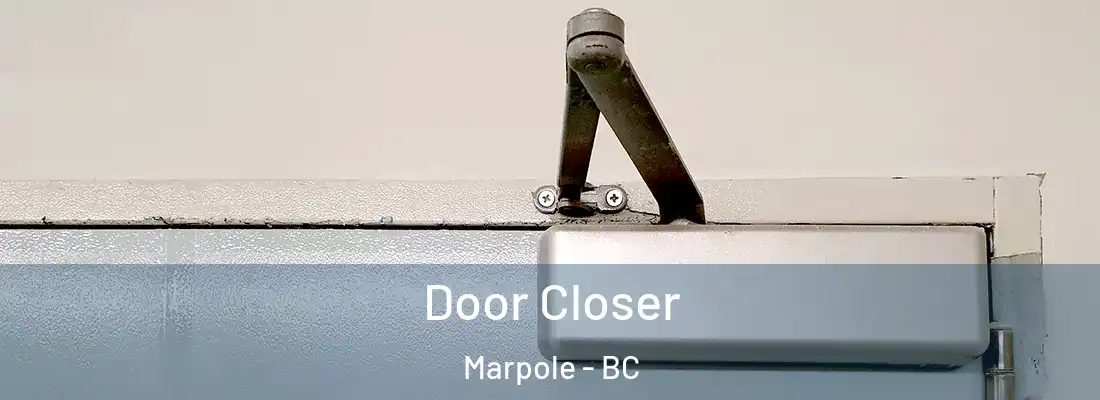  Door Closer Marpole - BC