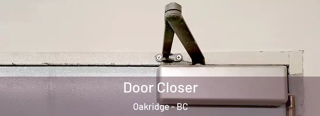  Door Closer Oakridge - BC