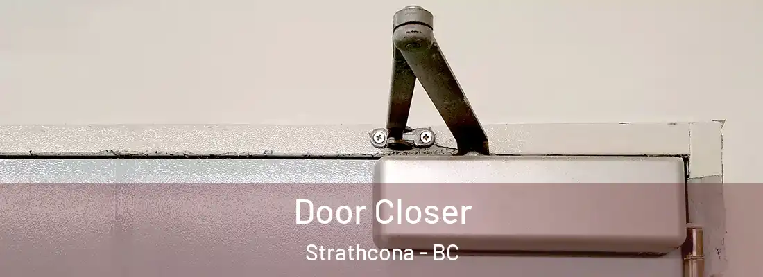  Door Closer Strathcona - BC