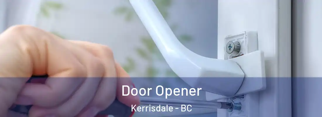  Door Opener Kerrisdale - BC