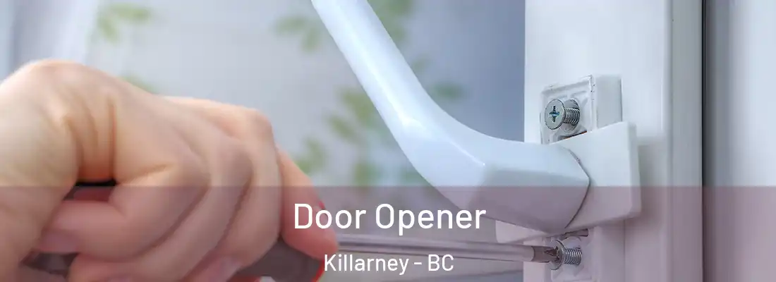  Door Opener Killarney - BC