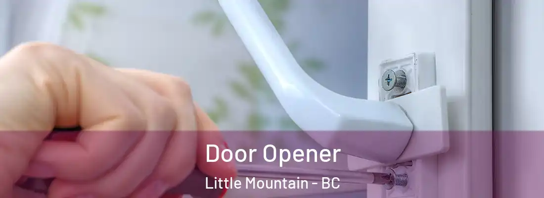  Door Opener Little Mountain - BC