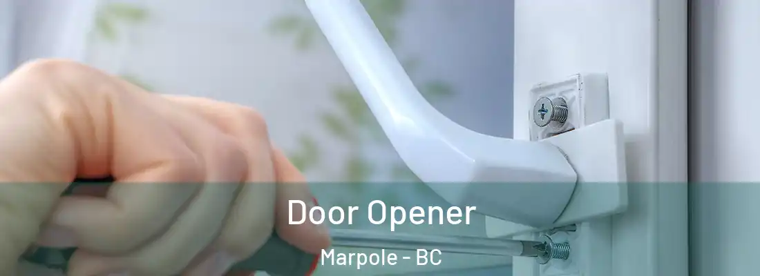  Door Opener Marpole - BC