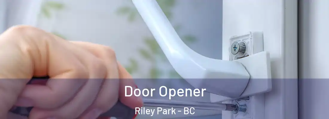  Door Opener Riley Park - BC