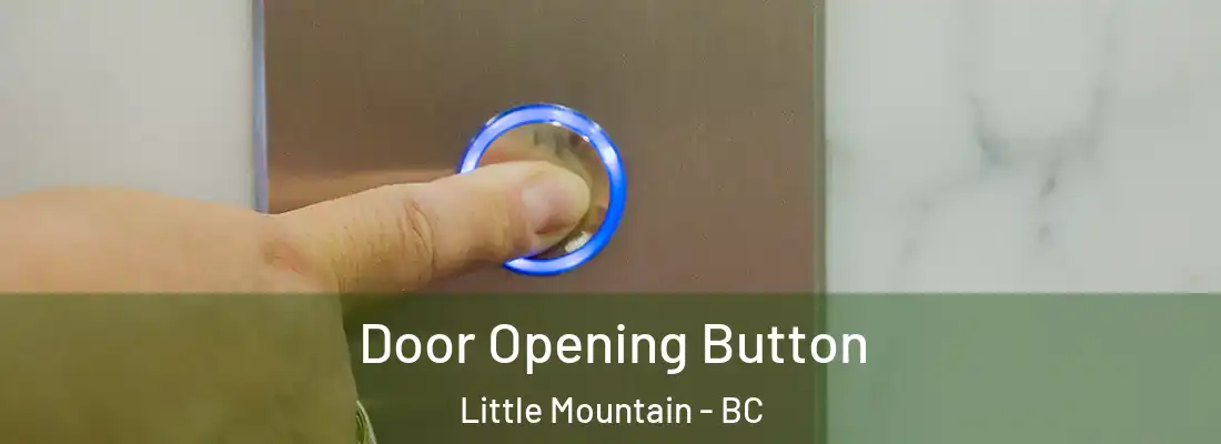  Door Opening Button Little Mountain - BC