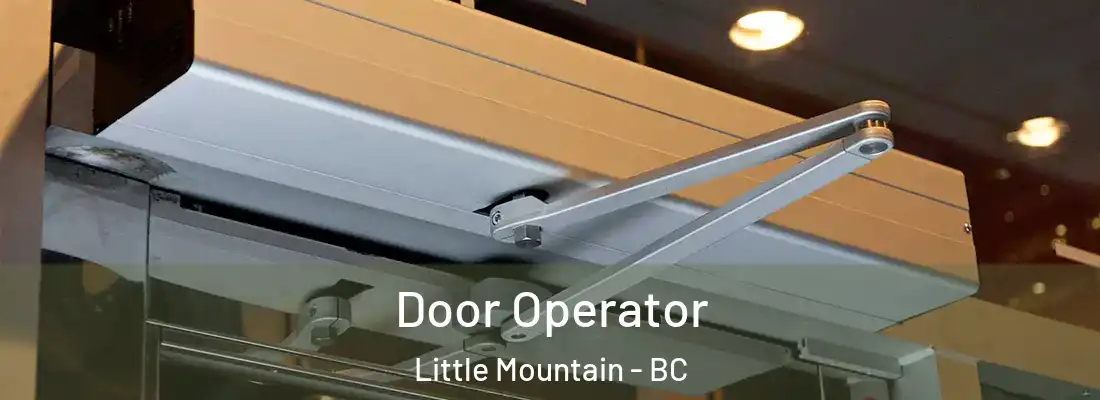  Door Operator Little Mountain - BC