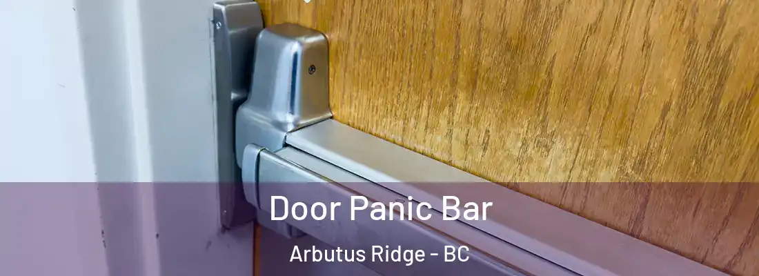  Door Panic Bar Arbutus Ridge - BC