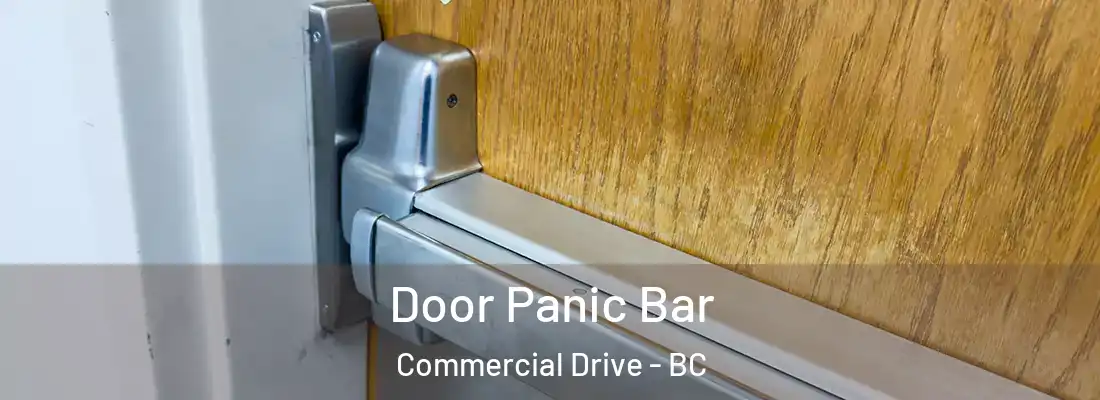  Door Panic Bar Commercial Drive - BC