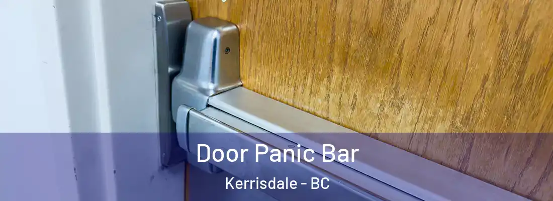  Door Panic Bar Kerrisdale - BC