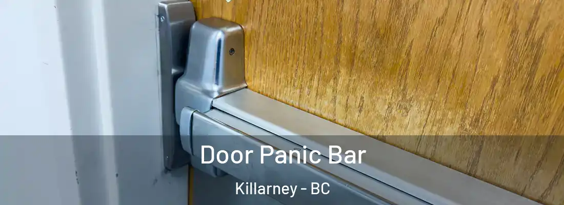  Door Panic Bar Killarney - BC