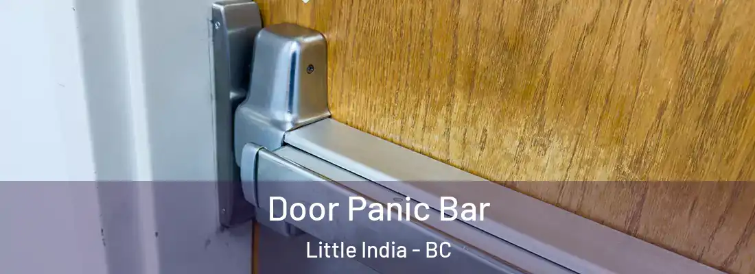  Door Panic Bar Little India - BC