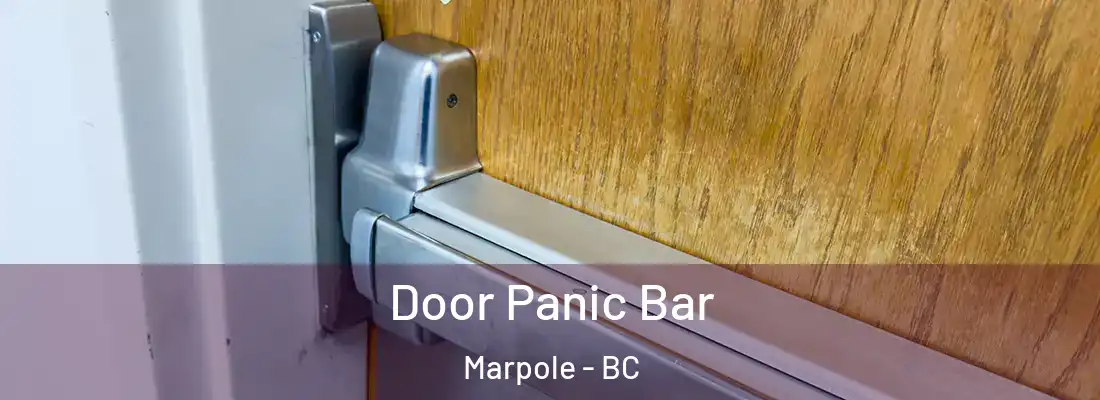  Door Panic Bar Marpole - BC