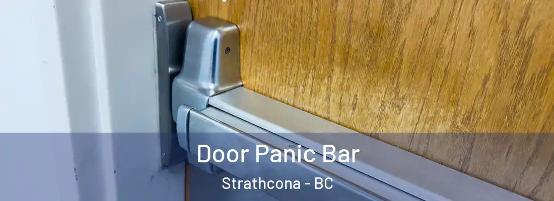  Door Panic Bar Strathcona - BC