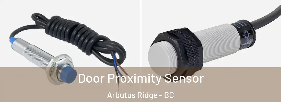  Door Proximity Sensor Arbutus Ridge - BC
