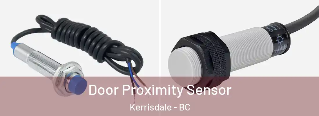  Door Proximity Sensor Kerrisdale - BC