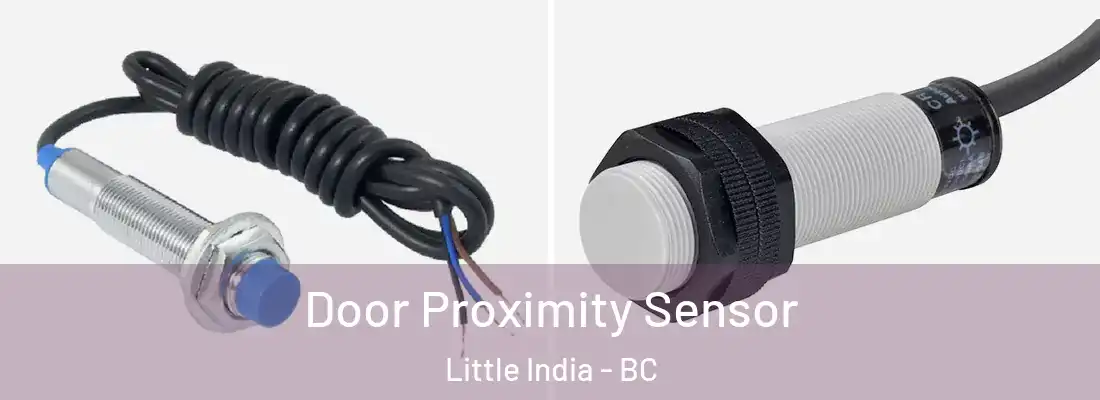  Door Proximity Sensor Little India - BC