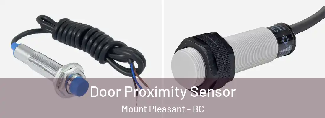  Door Proximity Sensor Mount Pleasant - BC