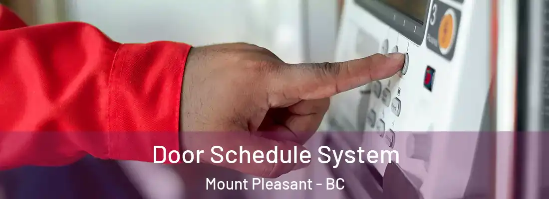  Door Schedule System Mount Pleasant - BC