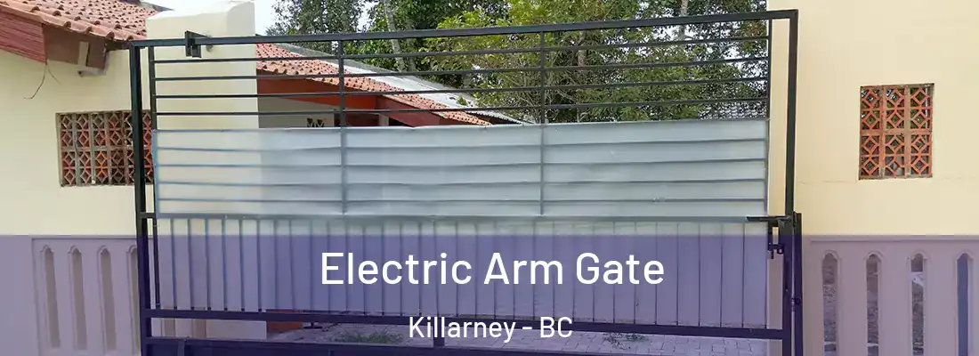  Electric Arm Gate Killarney - BC