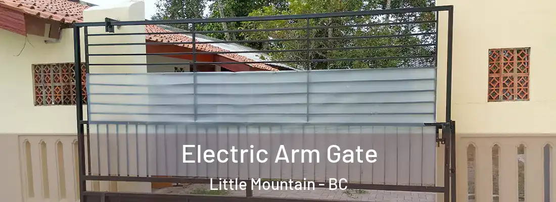  Electric Arm Gate Little Mountain - BC