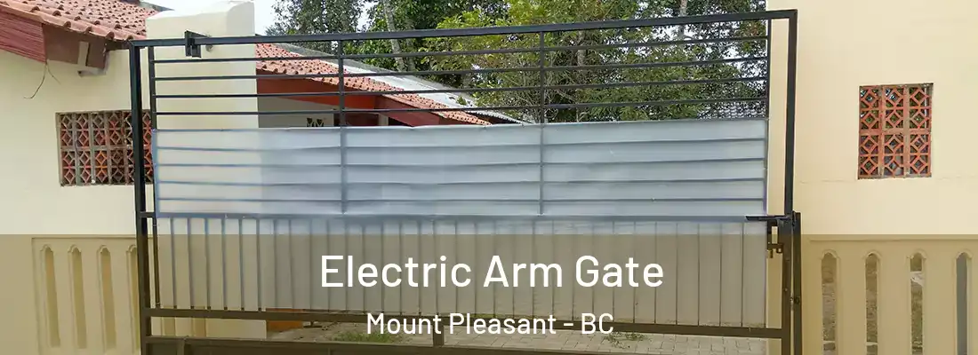  Electric Arm Gate Mount Pleasant - BC