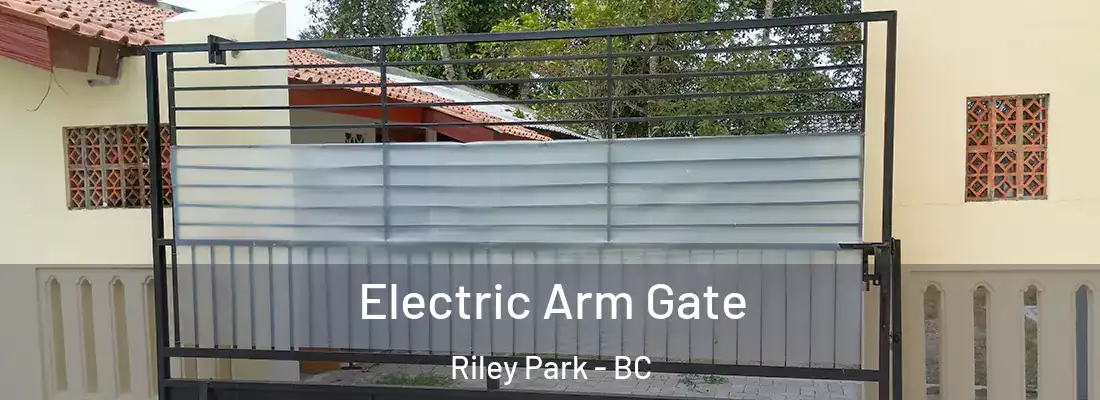  Electric Arm Gate Riley Park - BC