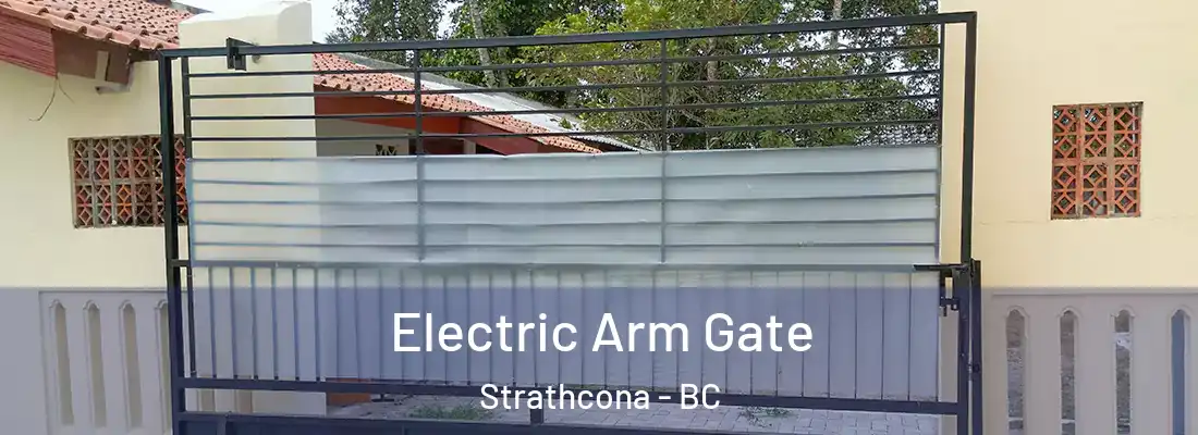  Electric Arm Gate Strathcona - BC