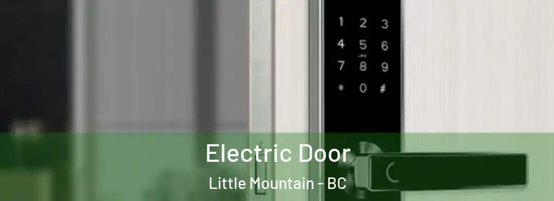  Electric Door Little Mountain - BC