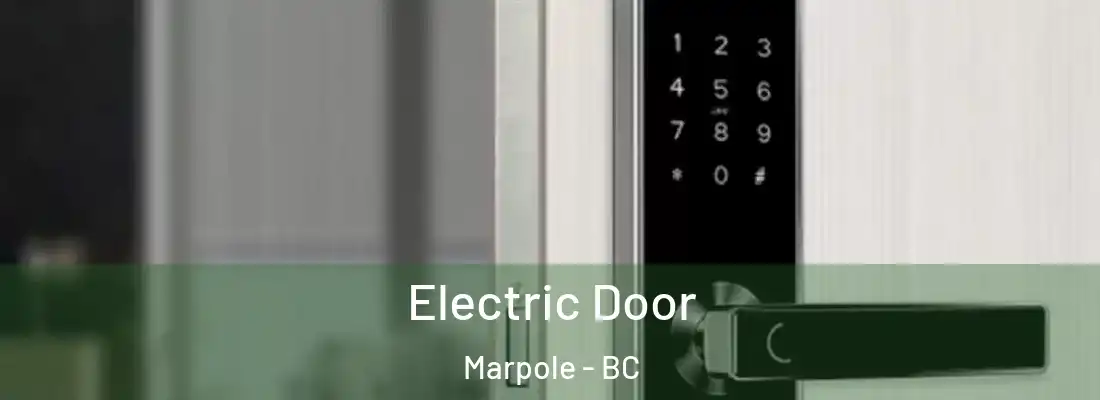  Electric Door Marpole - BC