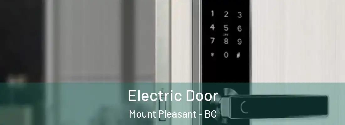  Electric Door Mount Pleasant - BC