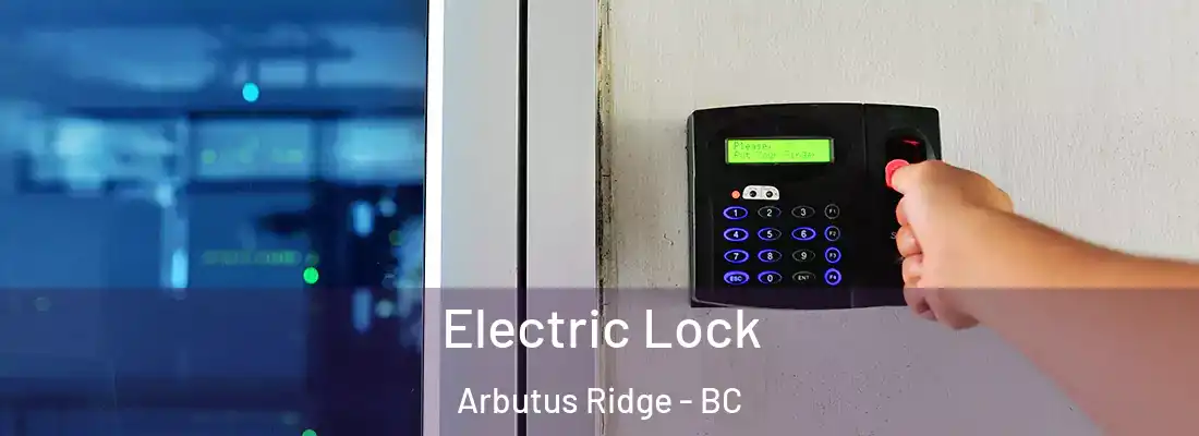  Electric Lock Arbutus Ridge - BC