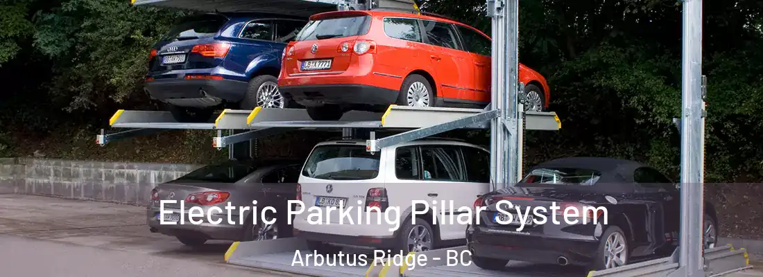  Electric Parking Pillar System Arbutus Ridge - BC