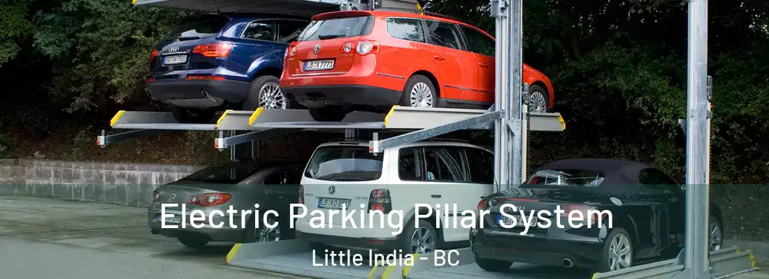  Electric Parking Pillar System Little India - BC
