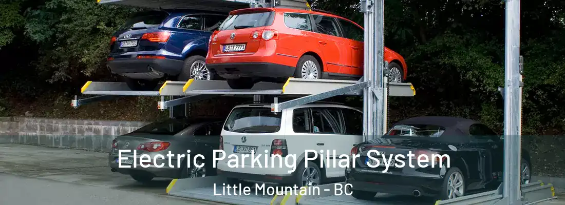  Electric Parking Pillar System Little Mountain - BC