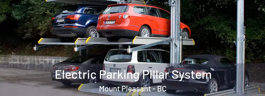  Electric Parking Pillar System Mount Pleasant - BC
