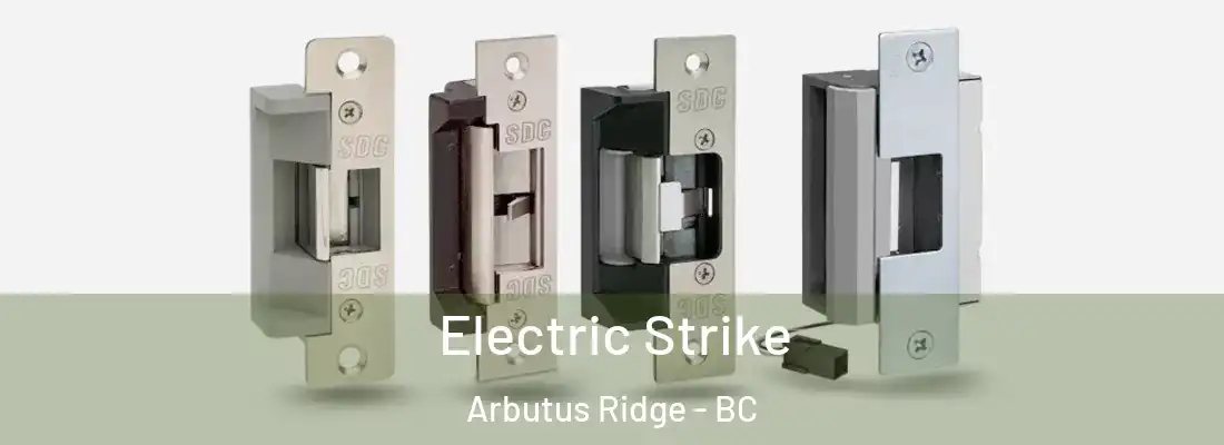  Electric Strike Arbutus Ridge - BC