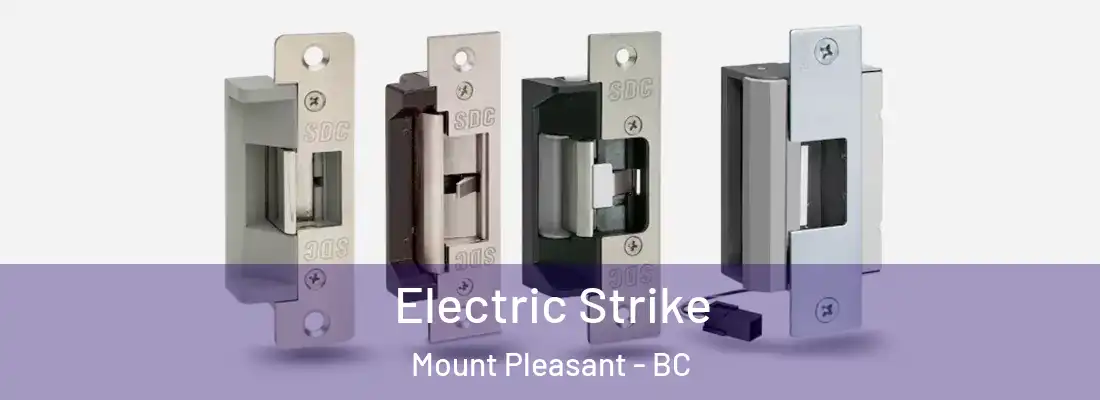  Electric Strike Mount Pleasant - BC