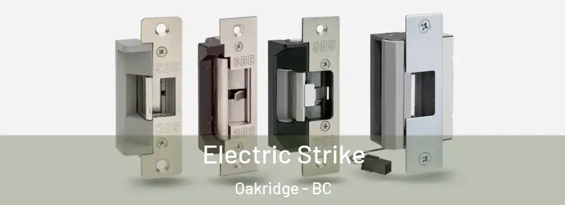  Electric Strike Oakridge - BC