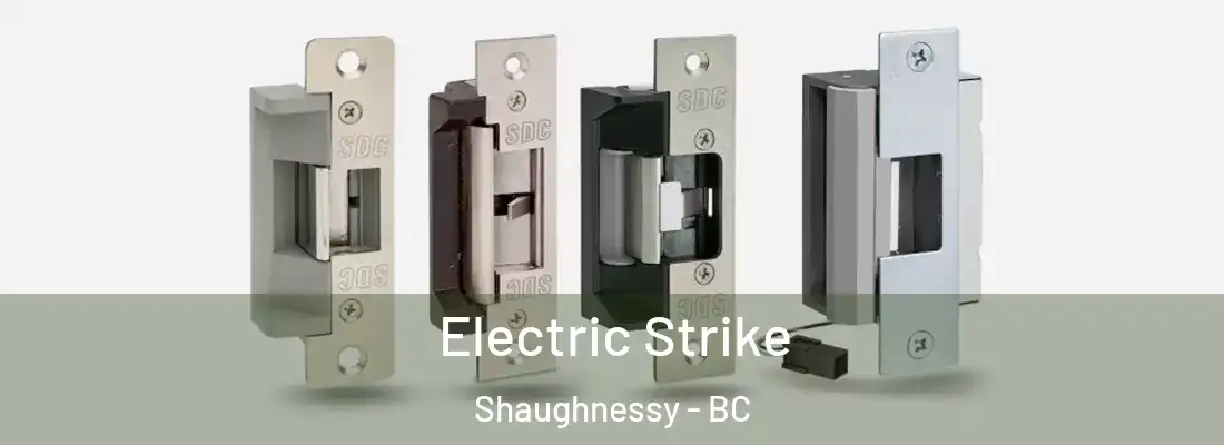  Electric Strike Shaughnessy - BC