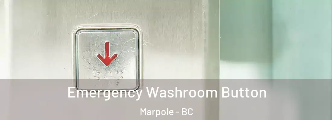  Emergency Washroom Button Marpole - BC