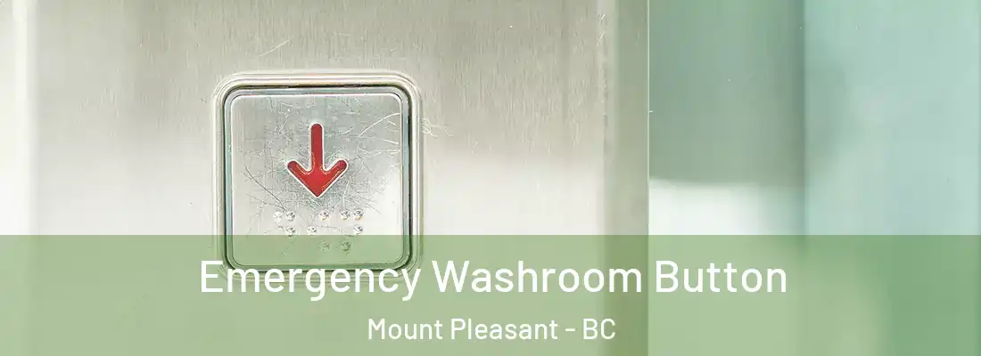  Emergency Washroom Button Mount Pleasant - BC