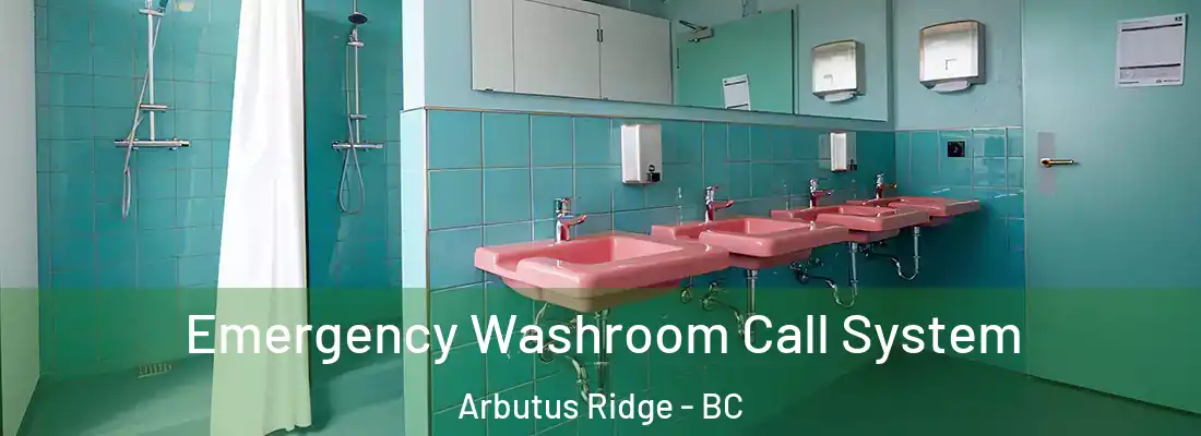  Emergency Washroom Call System Arbutus Ridge - BC