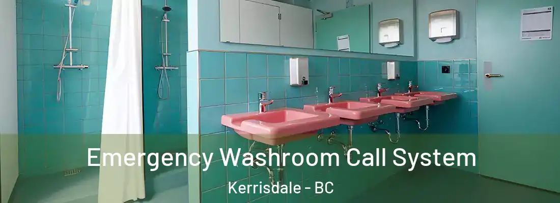  Emergency Washroom Call System Kerrisdale - BC