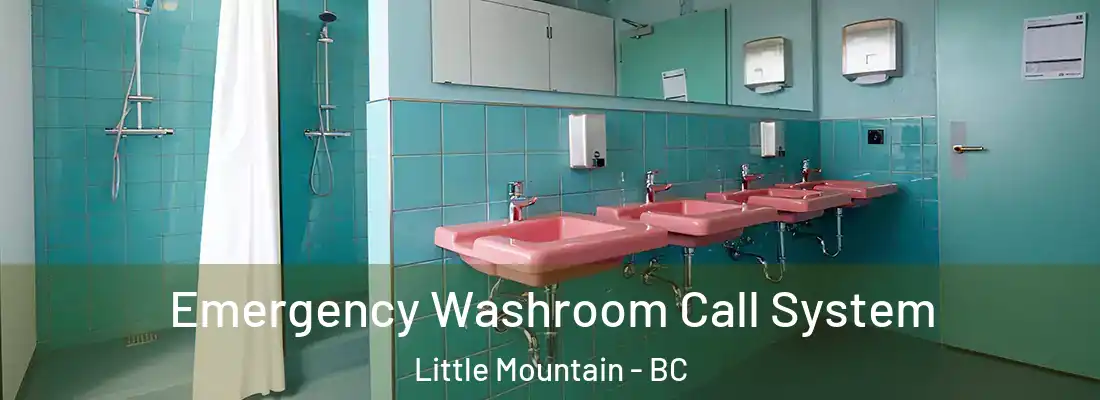  Emergency Washroom Call System Little Mountain - BC